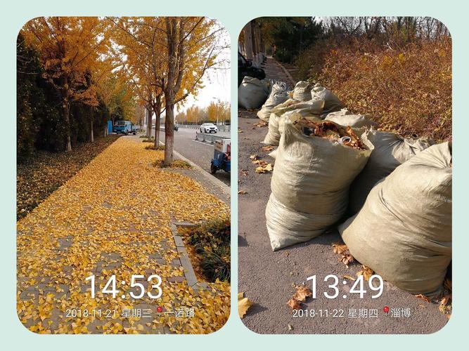 淄博分公司 加強(qiáng)保潔力度，全面做好迎檢工作